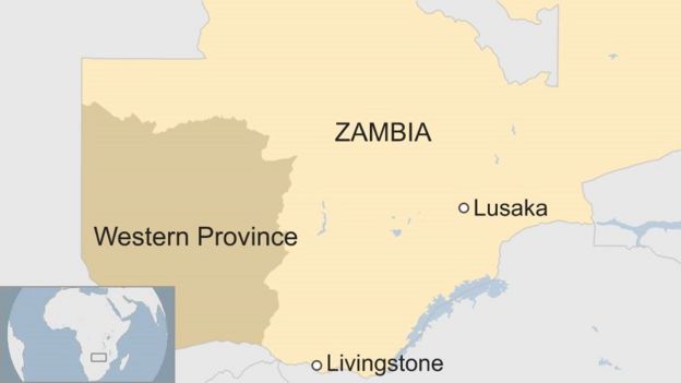 Baboon causes power cut in Zambia