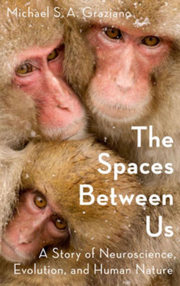 "The Spaces Between Us" (Los espacios entre nosotros) (Foto: Oxford University Press)