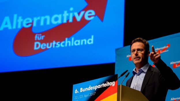 Partido Alternativa para Alemania