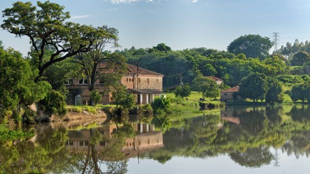 Floresta Nacional de Ipanema