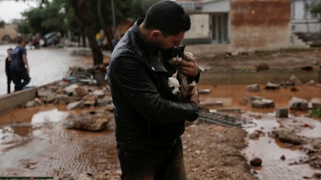 A local, carrying a dog in his jacket, holds a cat he saved from a tree