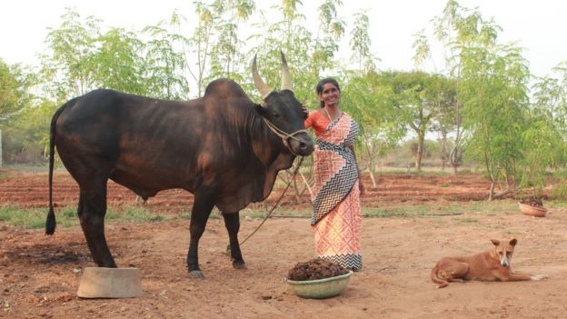 சௌந்தரம் ராமசாமி