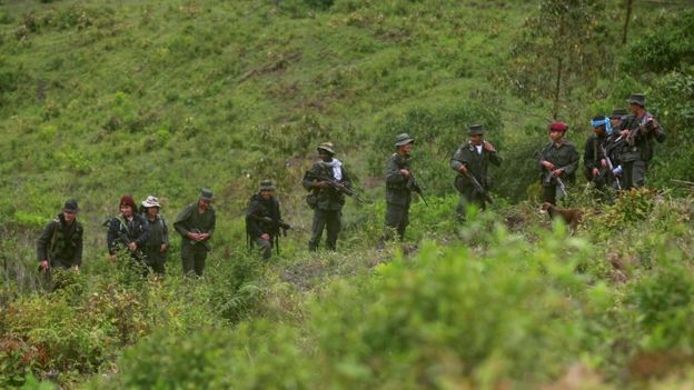 Miembros de las FARC en la selva de Colombia.