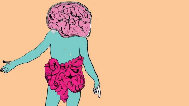 Ilustração de cérebro e intestino no corpo humano