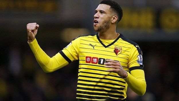 Etienne Capoue, 29