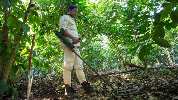 Una operación de limpieza de bombas sin detonar.