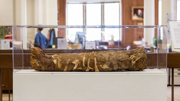 Momia en una exposición