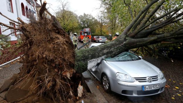 Firefighters are pictured next to a car damaged by a tree during stormy weather caused by a storm called 