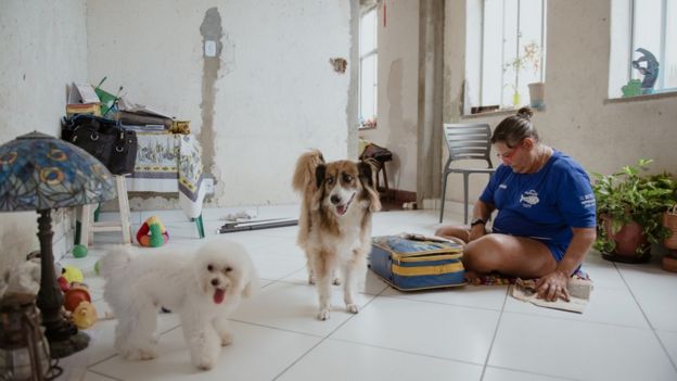 Peixinho ao lado de seus cachorros em casa