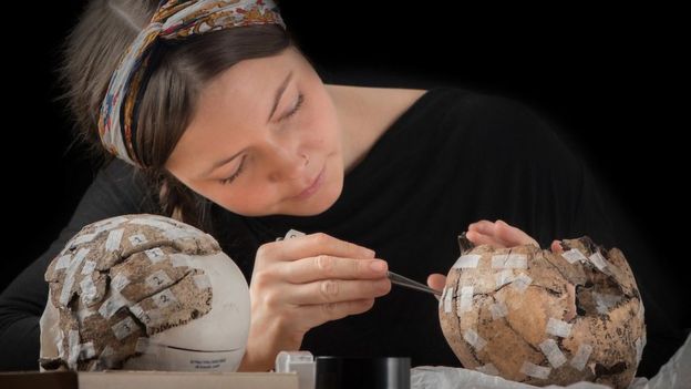 Clara Alfsdotter pieces together a skull found at the site