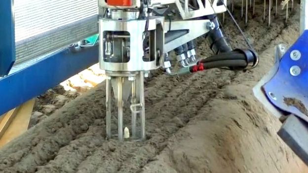 robot
