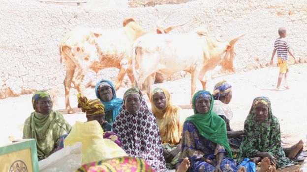 Mali'deki ataerkil toplum kadınların toprak gibi miraslar edinmesine izin vermiyor