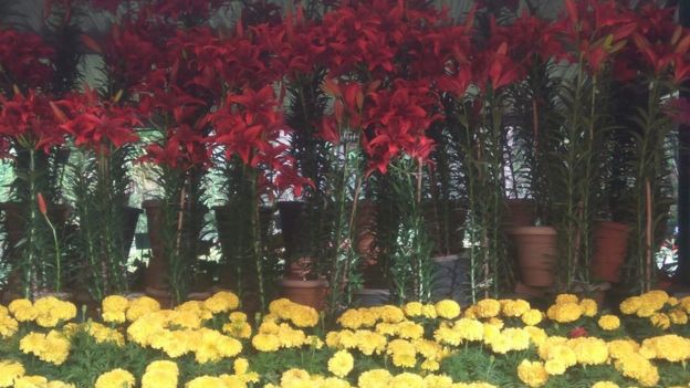 ஊட்டியில் 122 வது மலர் கண்காட்சி