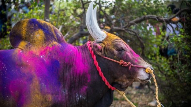 அருண் குமார்