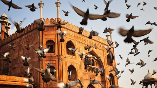 Old Delhi