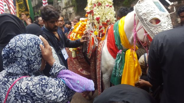 ঘোড়া
