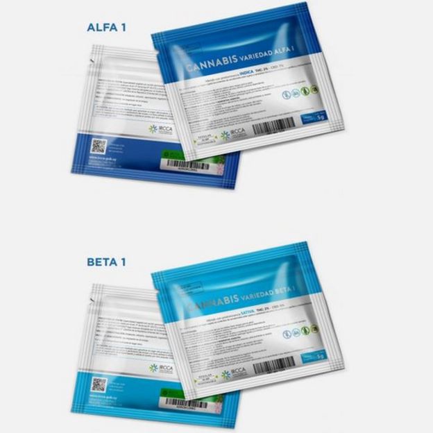 Se venden dos variedades, denominadas