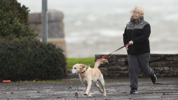 A dog walker in Carrigaholt on the west coast of Ireland