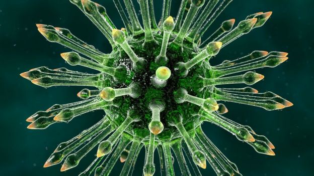 Imagen generada por computador del VIH, el virus que causa el Sida.