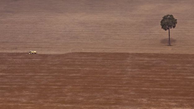 Aerial view of devastation in the Amazon