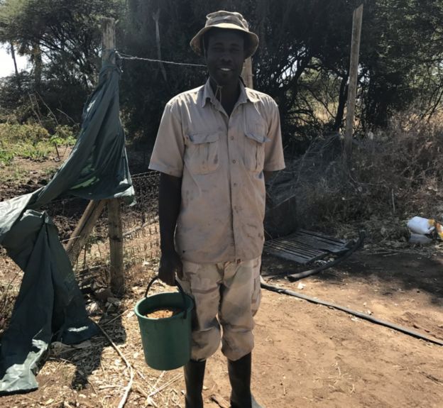 Farmer Chibeya Longwani shows me his bucket of tabasco chillies