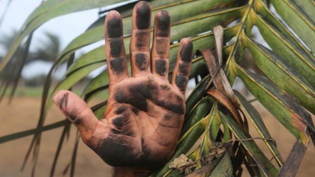 ගල් අඟුරු බලාගාරය අසල වැසියකු අඟුරු කුඩු නිසා කළු ගැසුණ සිය අතක් පෙන්වමින්