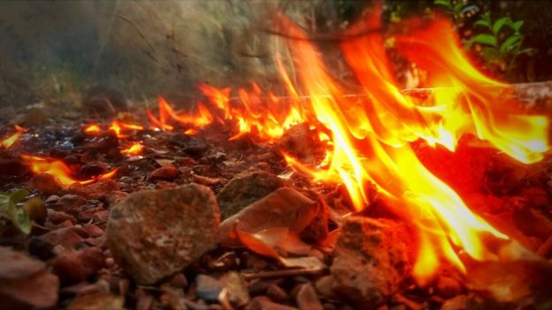 #BBCTamilPhotoContest