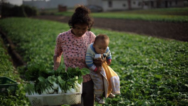 Madre con su bebé en una plantación de pak choi en China