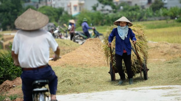 'Trong quá trình thực hiện chủ trương 'người cày có ruộng' năm 1953-1956 ở miền Bắc Việt Nam, tỷ lệ người bị oan sai khoảng 71,66%.' (Hình chỉ có tính chất minh họa).