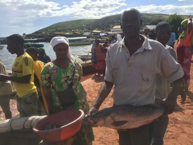 Idadi ya samaki imeanza kupungua na bei yao kupanda