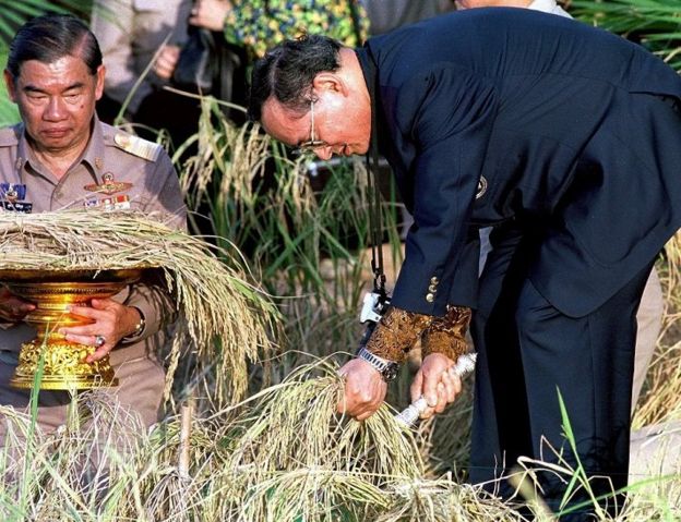 ในหลวง ร.9 ทรงเกี่ยวข้าว