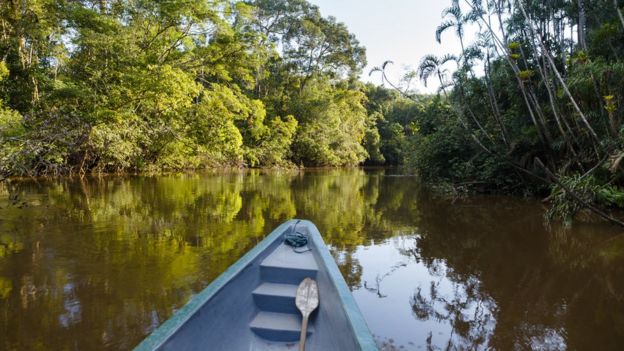 Vista del río desde un bote