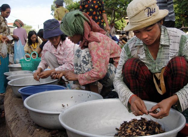 柬埔寨集市上商販們在賣蟋蟀