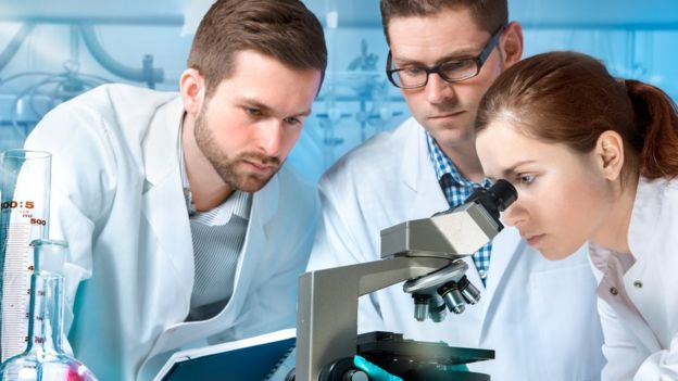 Investigadores