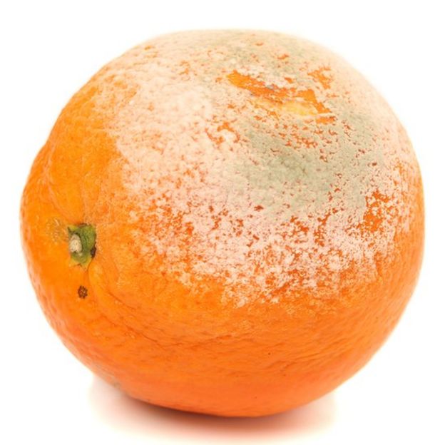 Naranja enmohecida.