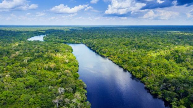 Rio em meio à floresta amazônica