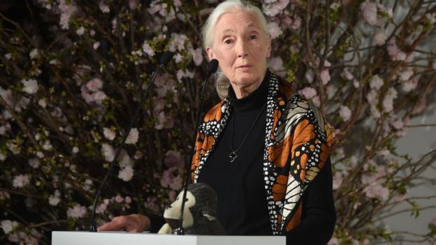 Jane Goodall hablando en una conferencia.