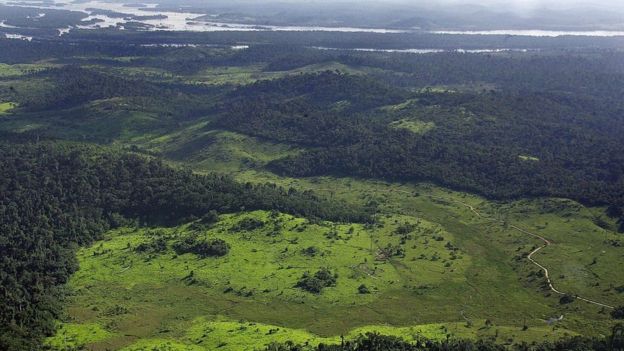 Amazônia