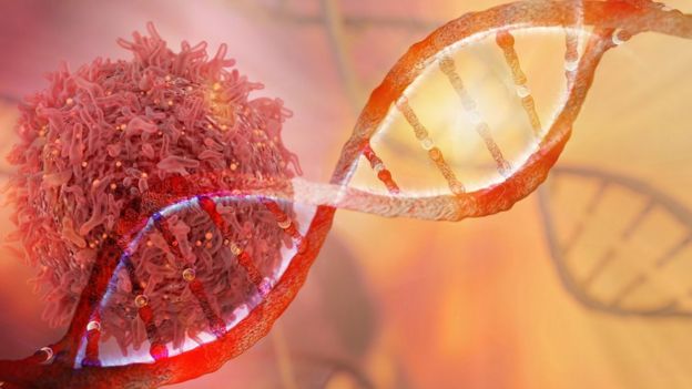 Célula cancerígena e DNA