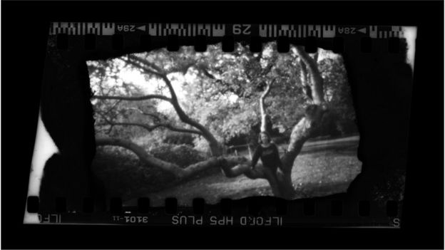 Woman in an apple tree