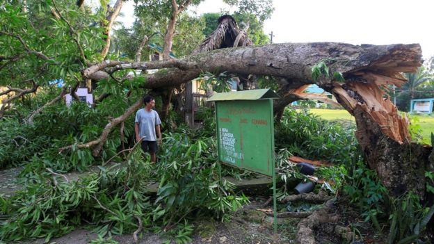 A resident looks at a tree uprooted by strong winds brought by Typhoon Nock-ten which cut through Camarines Sur, Bicol region, central Philippines