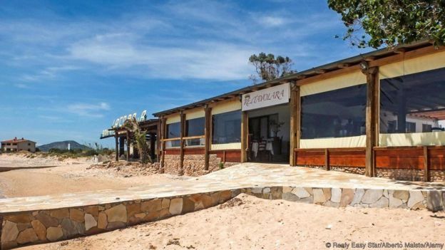 மத்திய தரைக்கடல்