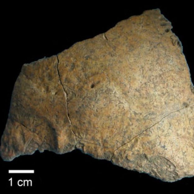 Hueso fosilizado de un hombre anatómicamente moderno encontrado en Buran Kaya.