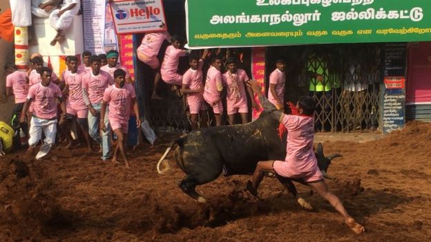 விறுவிறுப்பாக நடந்து வரும் அலங்காநல்லூர் ஜல்லிக்கட்டு