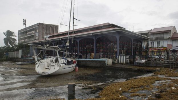 Daños en la isla de Guadalupe.