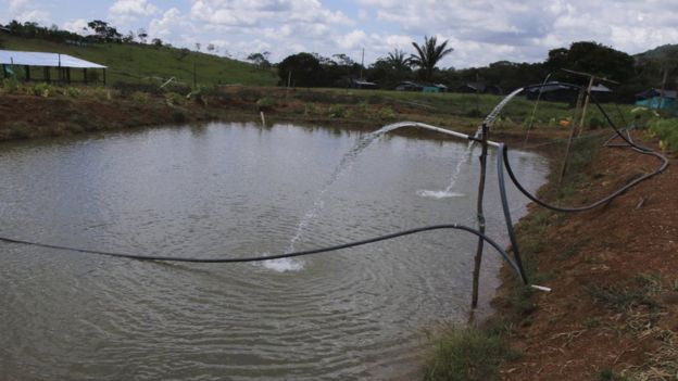 Fish pond next to the site of the Farc hotel