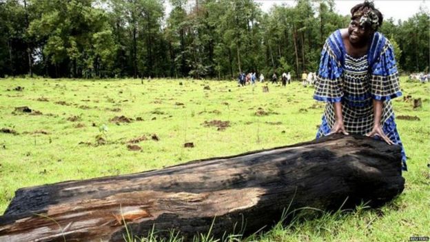 Wangari Maathai