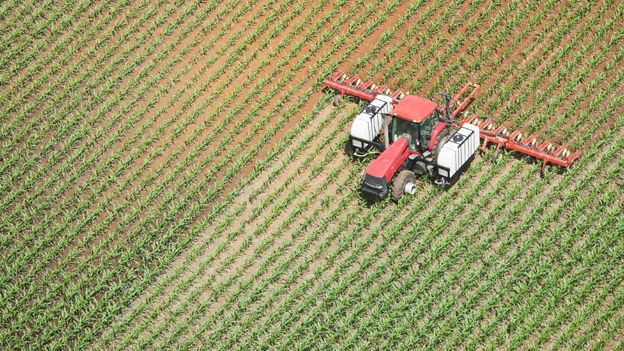 Fertiliser spreading in a corn field