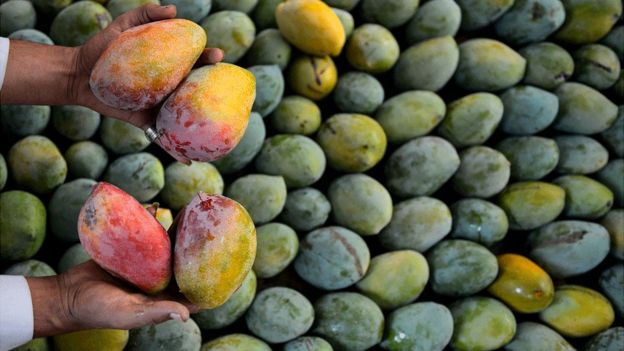 Mangos