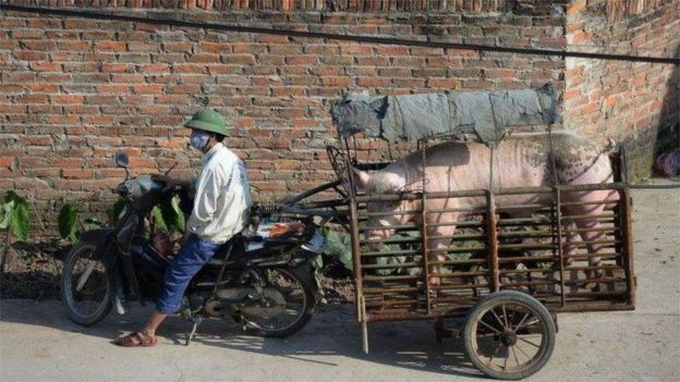 Nông dân Việt Nam